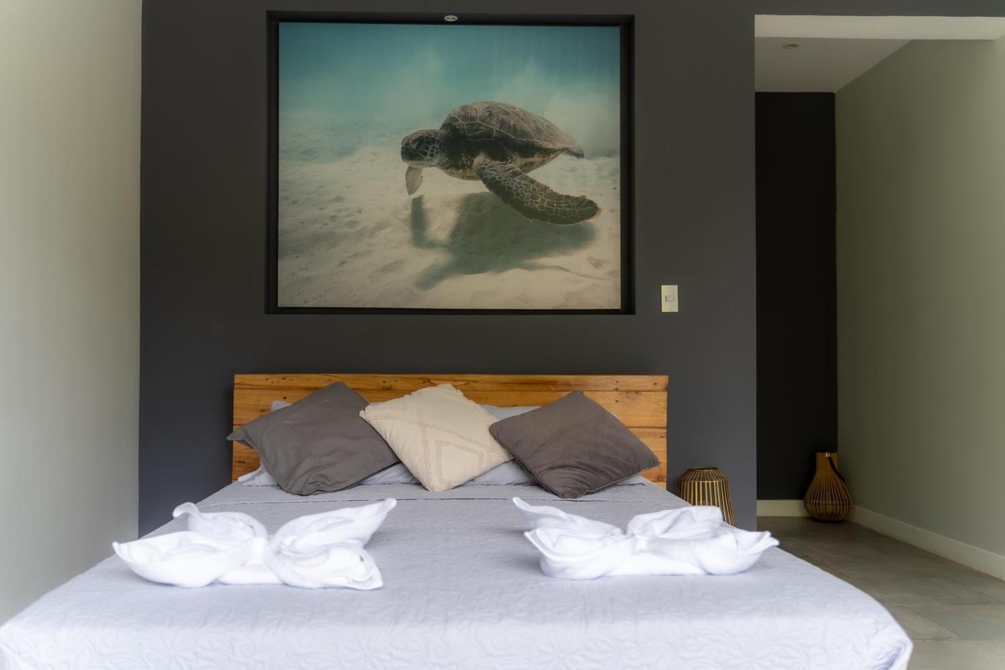 Lilan Nature, Modern House N°1, Private Swimming Pool. Кахуіта Екстер'єр фото